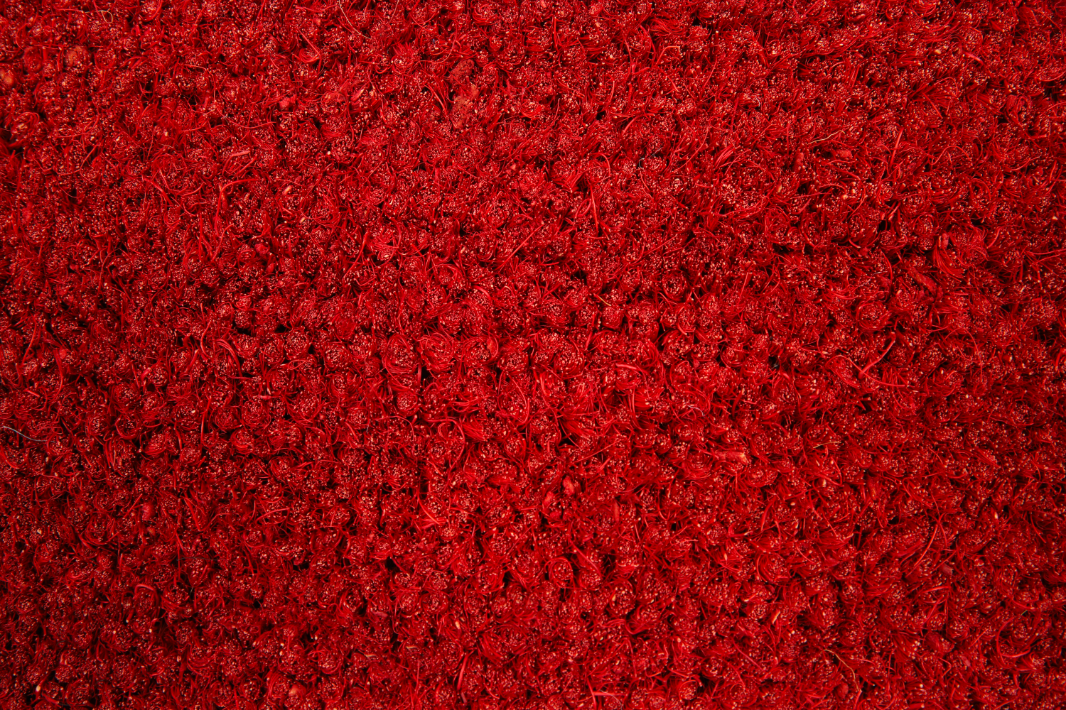 ARUBA 18 - Tapis brosse coco